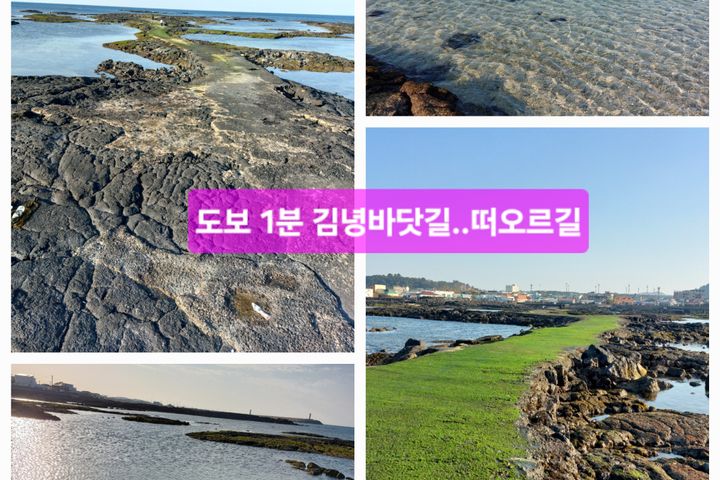 바닷가 김녕돌담집 2 19번째 이미지