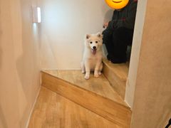 2층 복층형 헤라 13번째 이미지