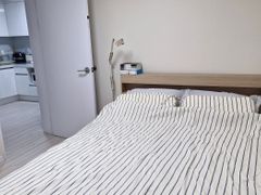 성수동 핫플 렌트하우스 0번째 이미지