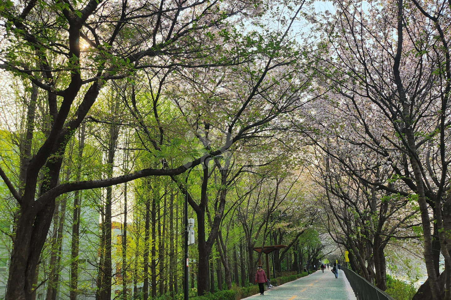 성수 건대 한양대201 18번째 이미지