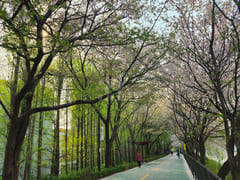 성수 건대 한양대201 18번째 이미지