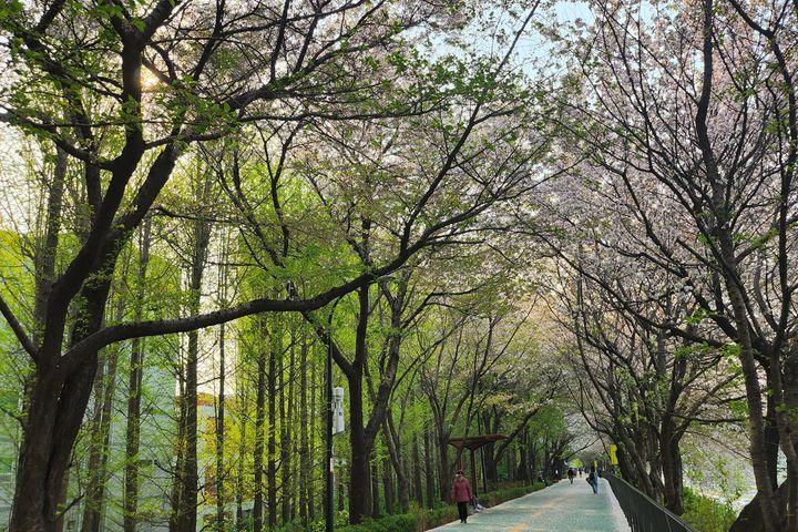 성수 건대 한양대201 18번째 이미지