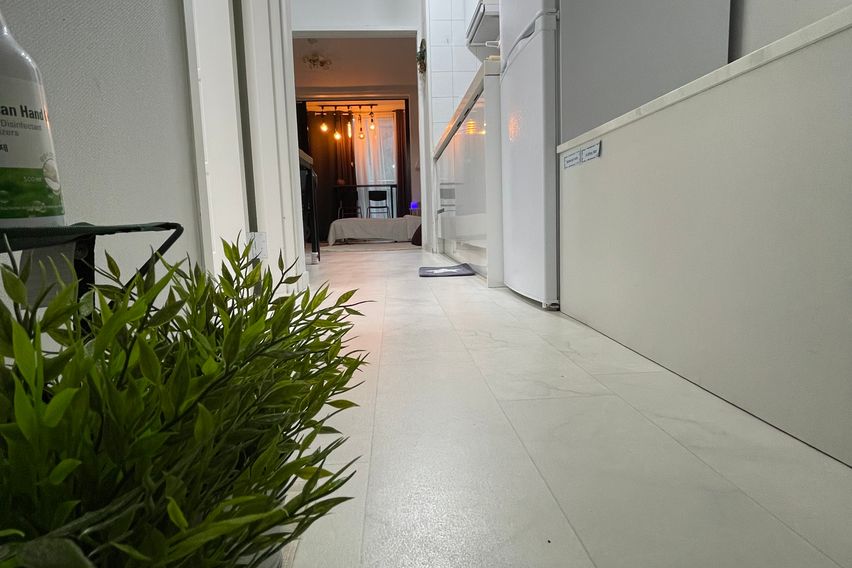 바닷가/넷플/숲세권애견