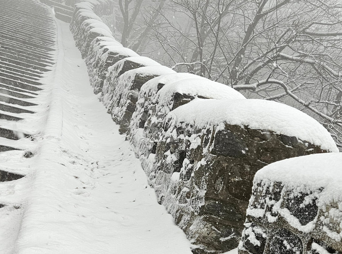 Namsan Pine / 28 pyeong 14th image