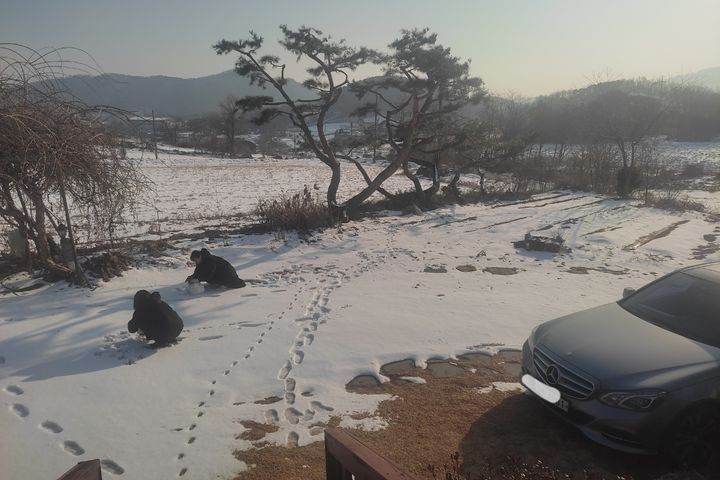 40평독채펜션촌캉스 12번째 이미지