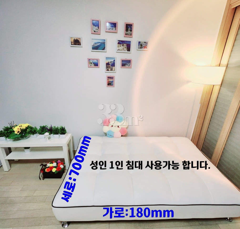 🌈Gwanghwamun Gyeongbokgung Station Fully Fur 7th image