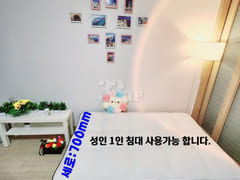 🌈Gwanghwamun Gyeongbokgung Station Fully Fur 7th image