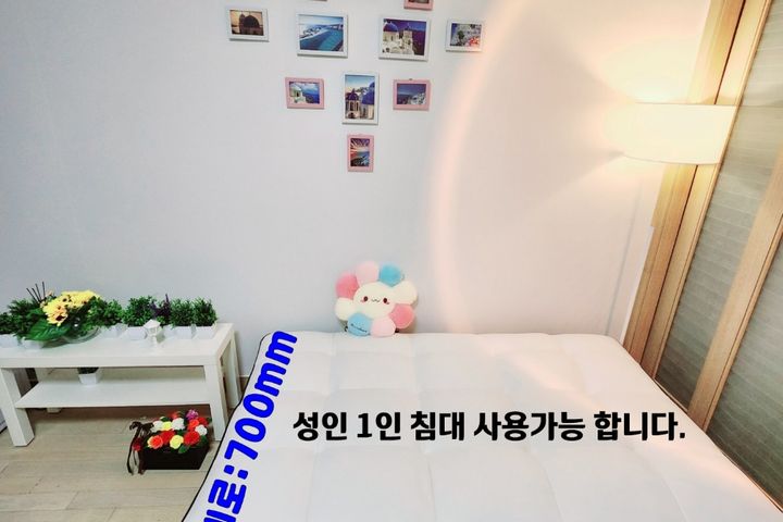🌈Gwanghwamun Gyeongbokgung Station Fully Fur 7th image