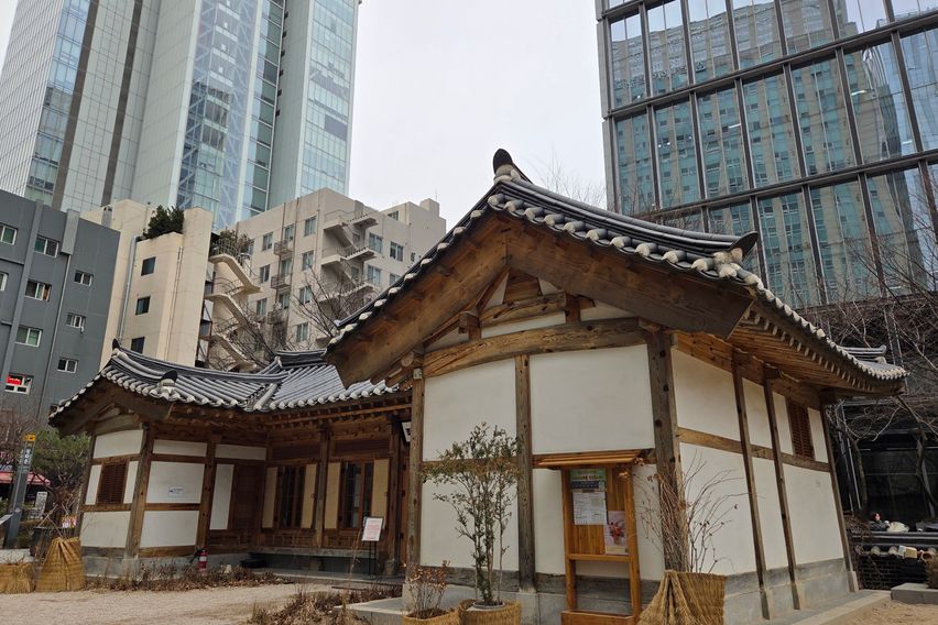 종로 올리브🌿 스테이