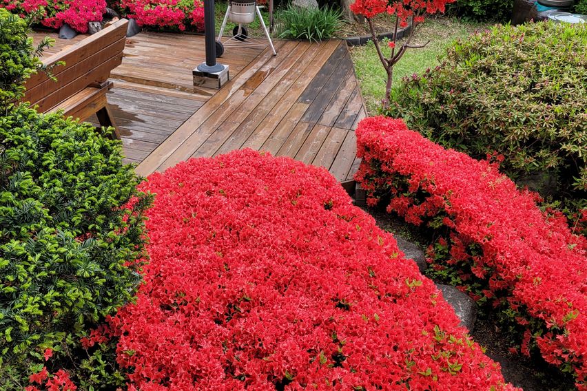 레지던스R&E 19번째 이미지