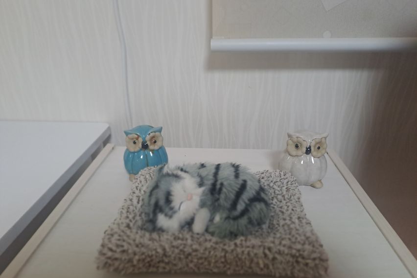 태화강국가정원과우정혁신