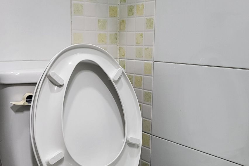 풀옵션 고품격 대전