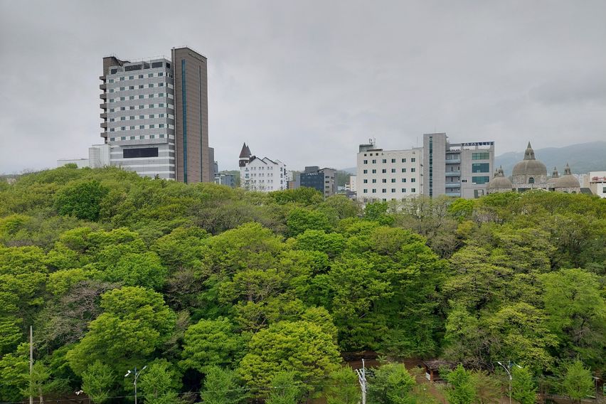 동해파인앤유오션시티24