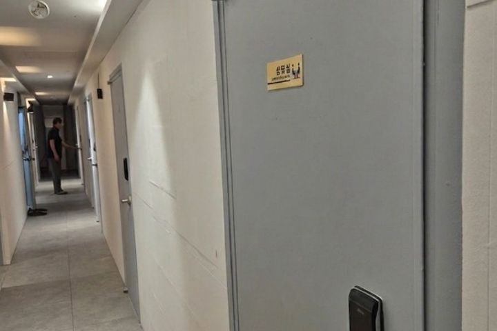 스탠다드 1번째 이미지