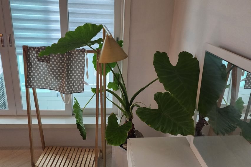 광안 해변가 예쁜아파트 13번째 이미지