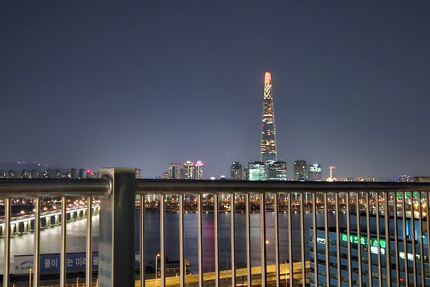 한강뷰 with 고양이