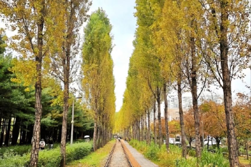 노원하계을지병원백병원