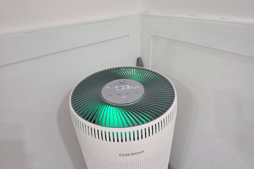 💰타임월✨갈마가성비2