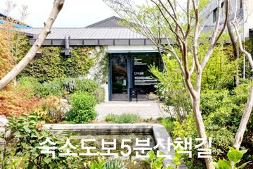 [부산수영]가성비풀옵션