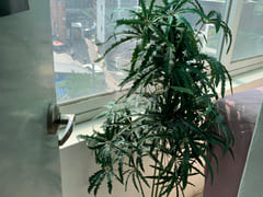 Studio apartment near Seoul Station 4th image