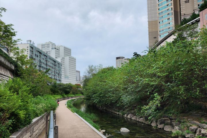 동묘앞역 달콤하우스 11번째 이미지