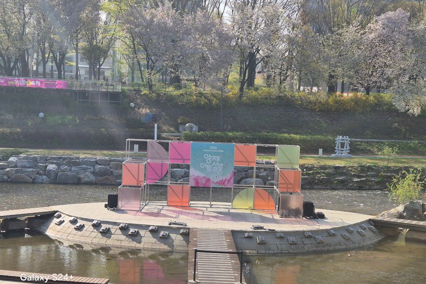 벚꽃양재카페공원 바로앞 16번째 이미지