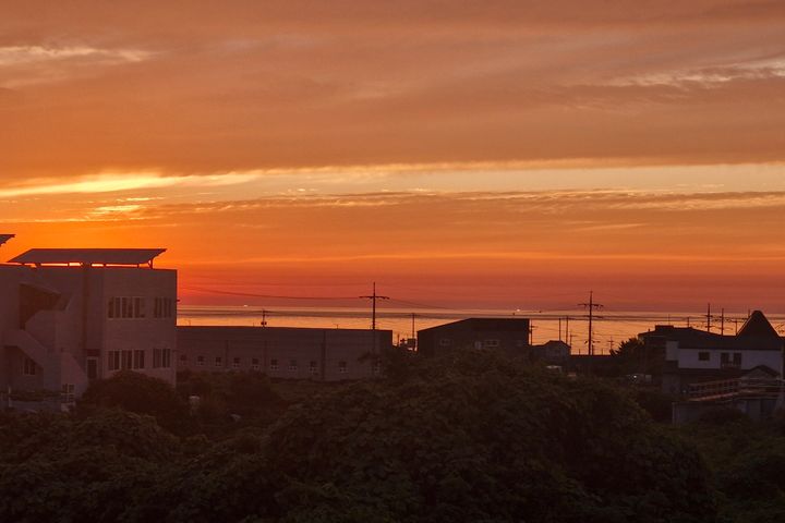 제주동쪽<동복쉼표> 7번째 이미지