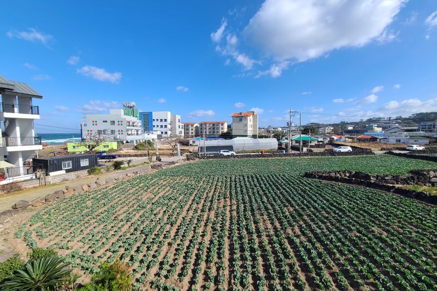 🌴애월 곽지해변 1분컷 9번째 이미지