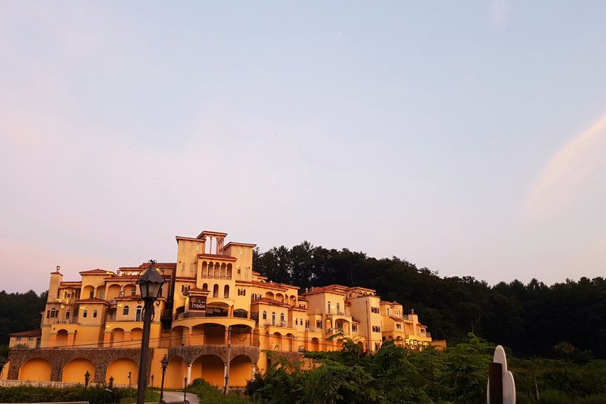 조안나 18번째 이미지