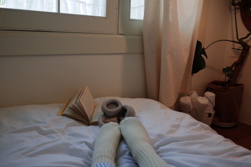 귀여운 투룸🫧반려동물 10번째 이미지