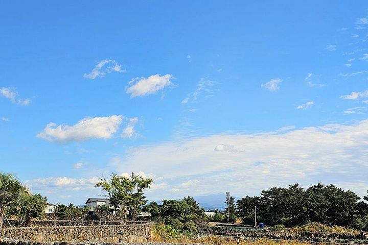 제주도 신축 아파트 15번째 이미지