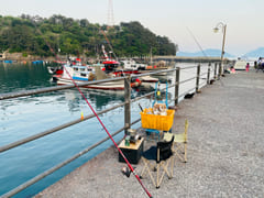 #1 Salt & Fish 2th image