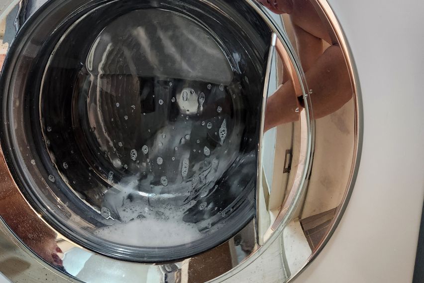 애견가능노은역수퍼풀옵션