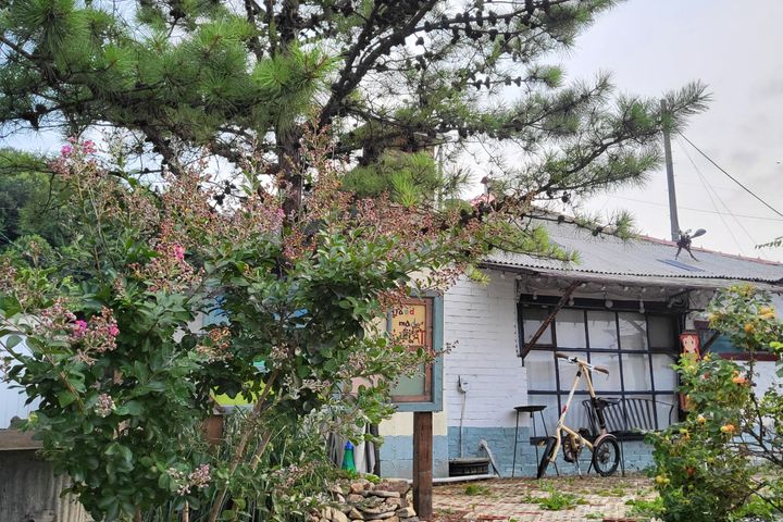 아산공세리성당돌담촌캉스 0번째 이미지