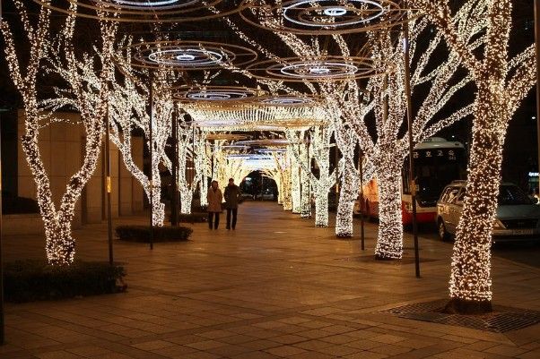 코엑스삼성역 오픈특가✨