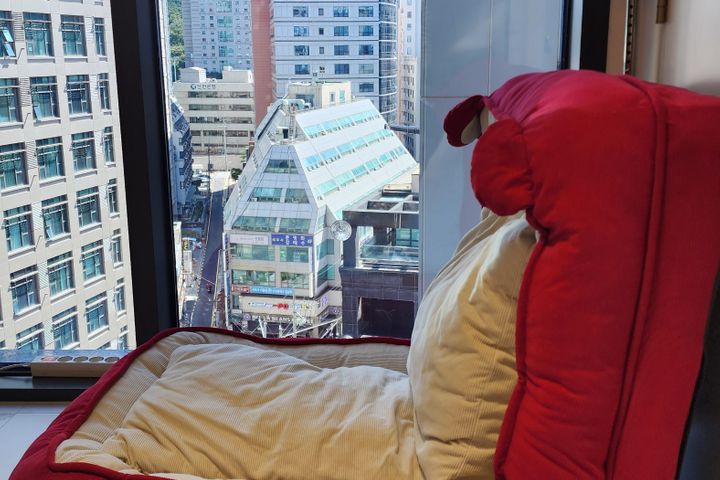 엘루크서초강남라이프 6번째 이미지
