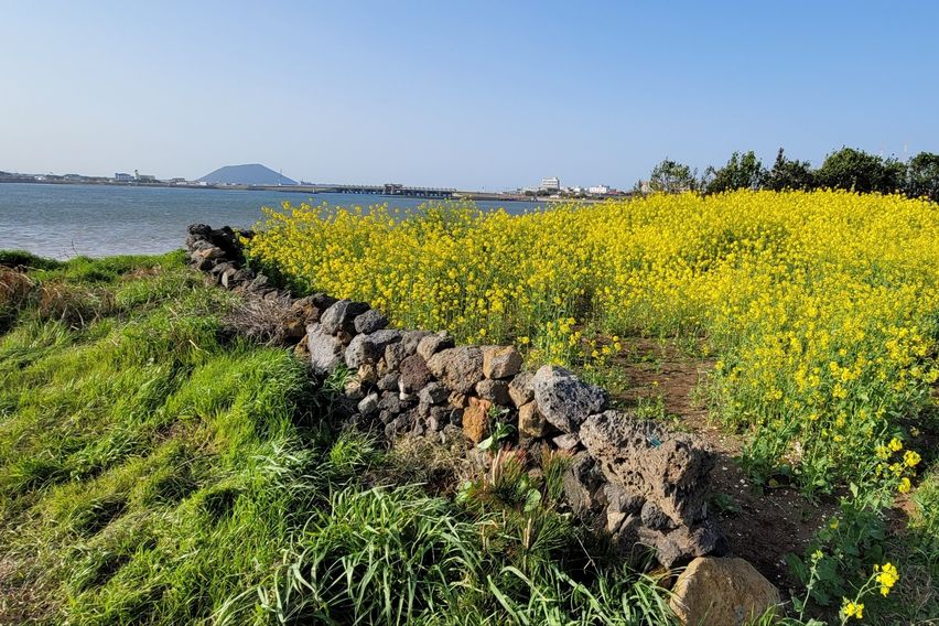 [제주]일출봉의해변감성