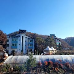 201호  방 이미지