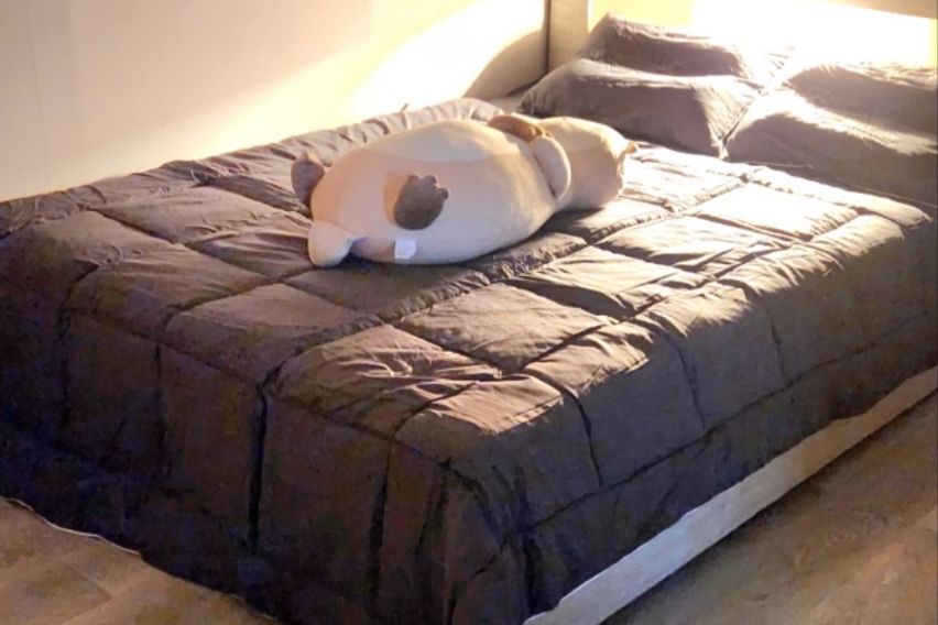 신축전북대병원*대자인