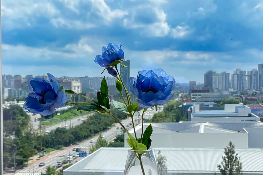 💕동천역 판교강남💙