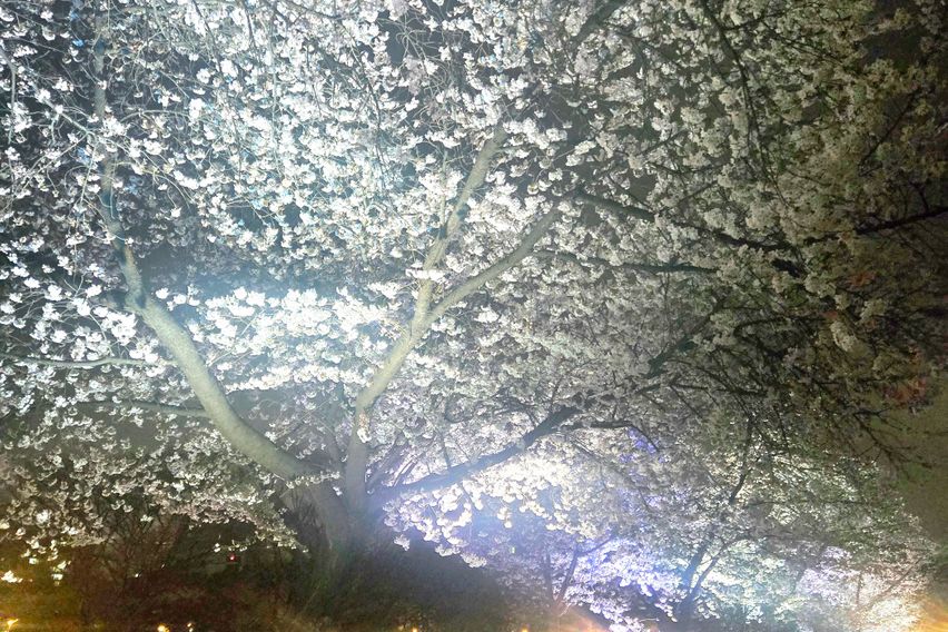 오픈특가💙깔끔복층N8 18번째 이미지