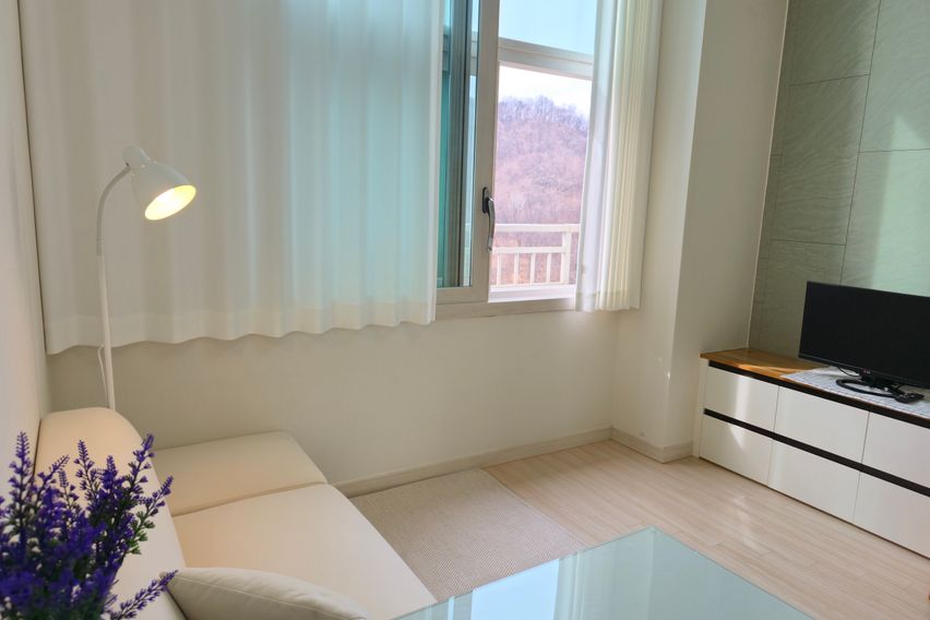 스테이 하루 온