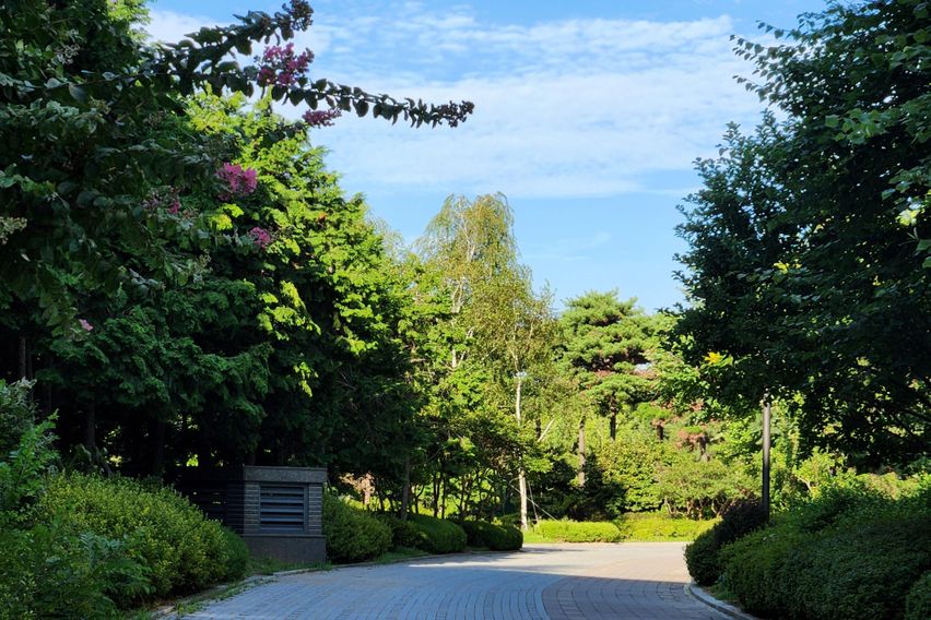 송도💜역세권💜투룸