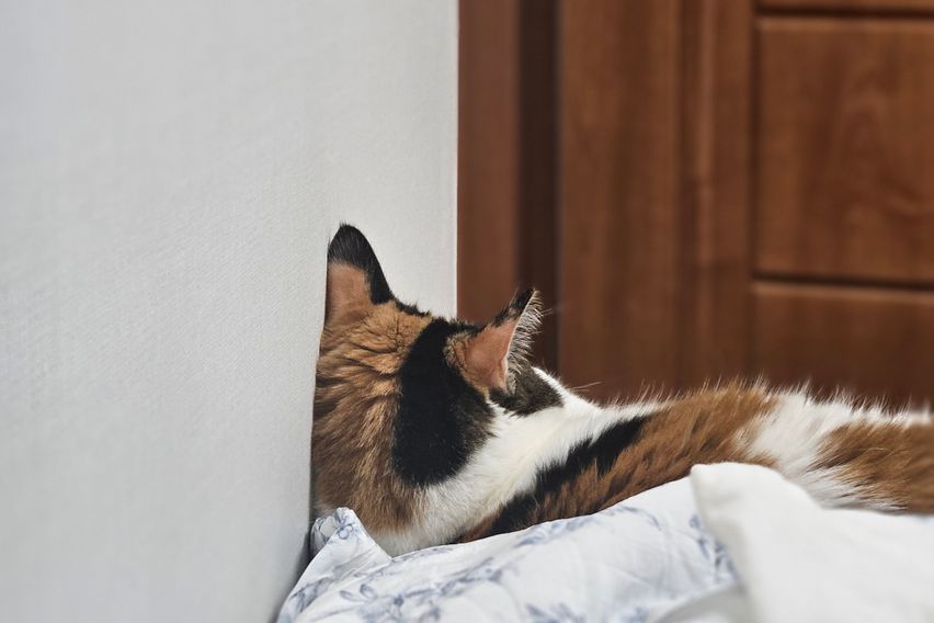 ㅇㅇㅇㅇㅇ 1번째 이미지