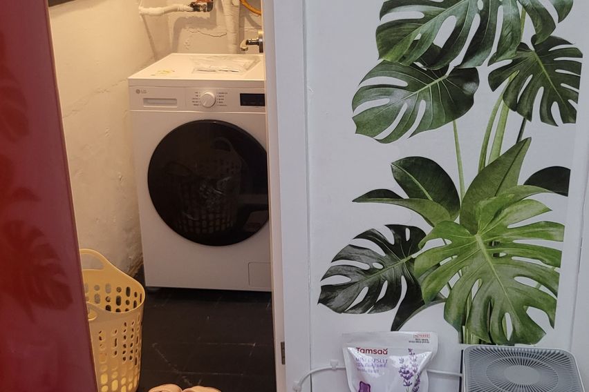 포레스트 in 임학 14번째 이미지