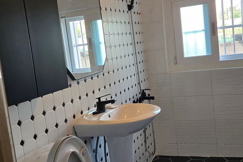 일광 찐빵 뒷집