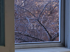 Winter Wanderer - Special Offer 10th image