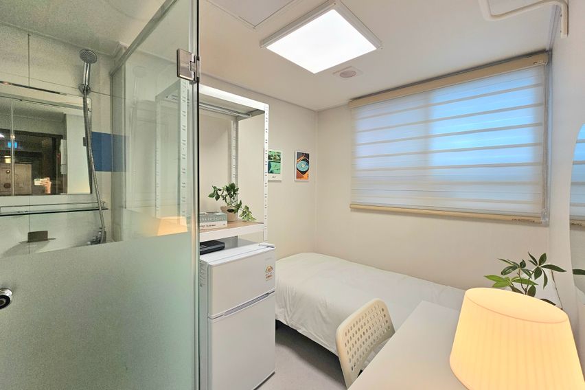 로와스테이디럭스A1타입