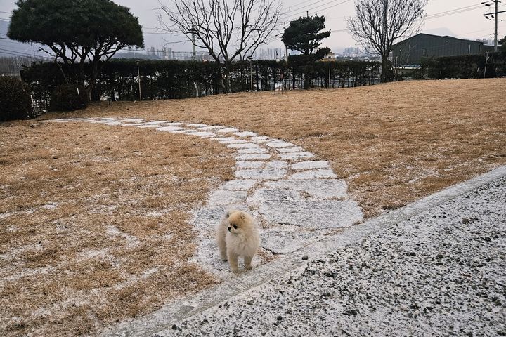 2층 복층형 헤라 15번째 이미지