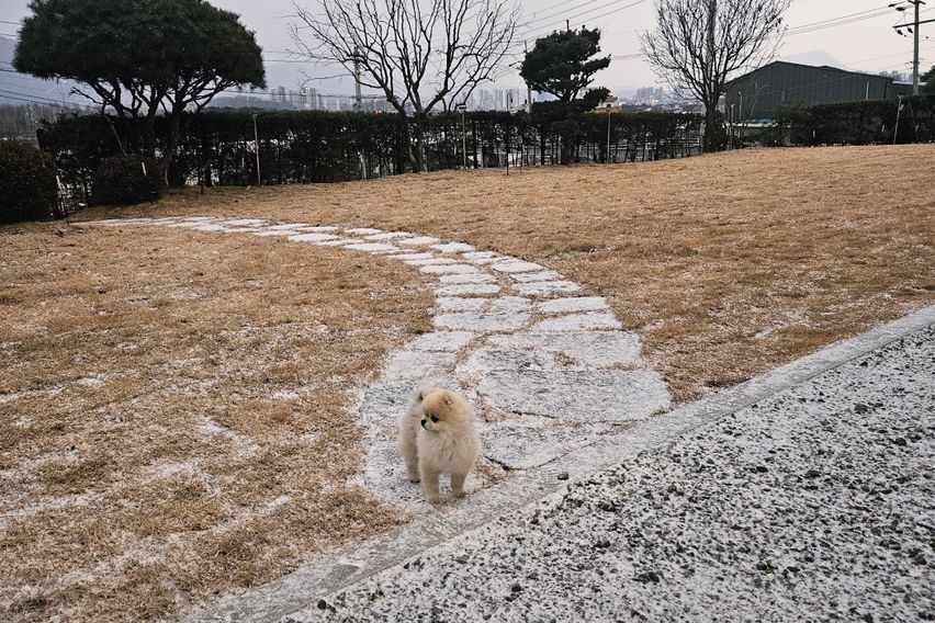 2층 복층형 헤라 15번째 이미지